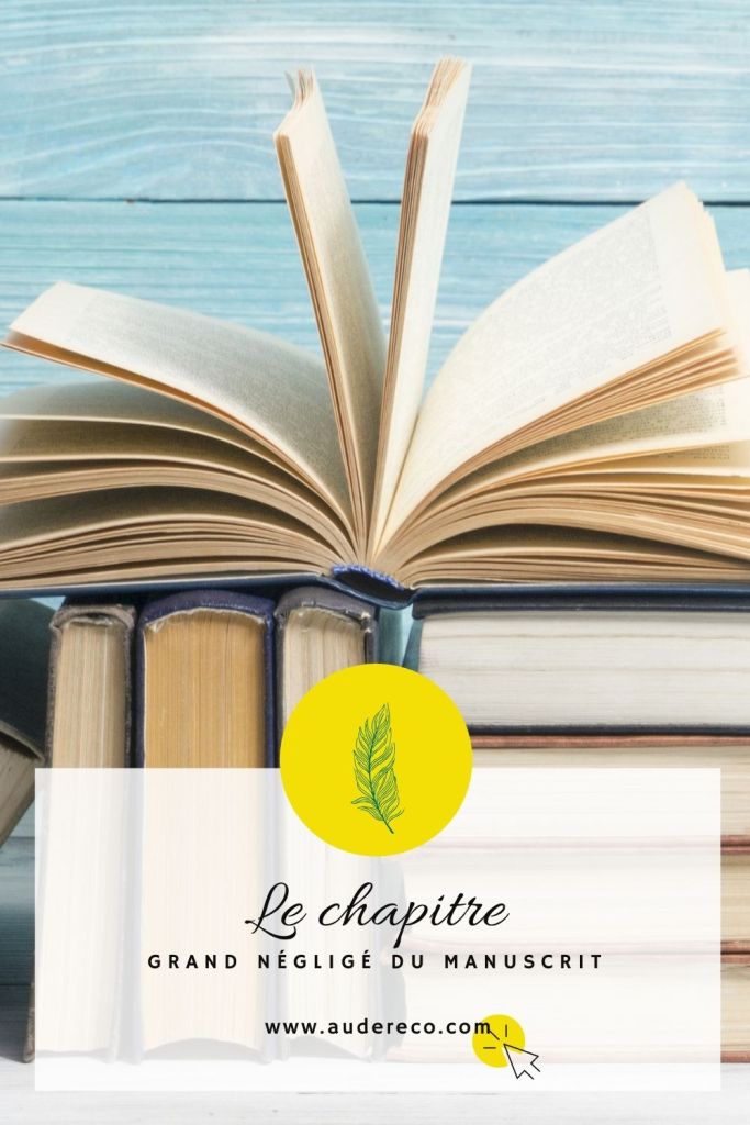 Le chapitre : grand négligé du manuscrit