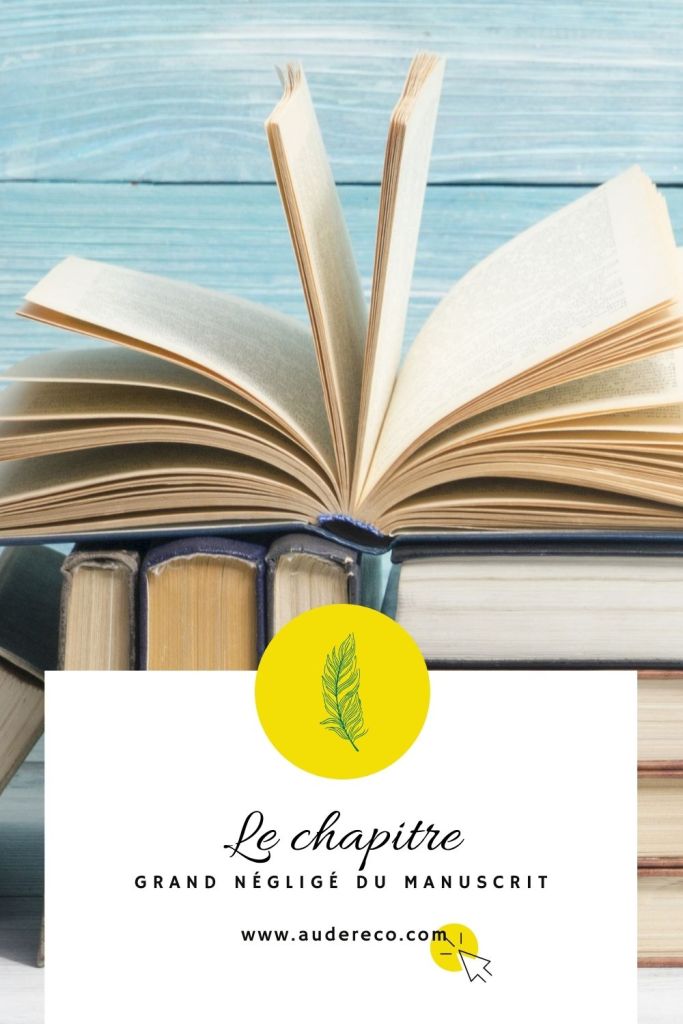 Le chapitre : grand négligé du manuscrit