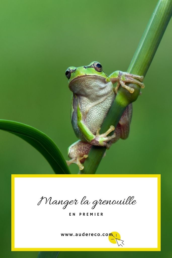 Manger la grenouille en premier