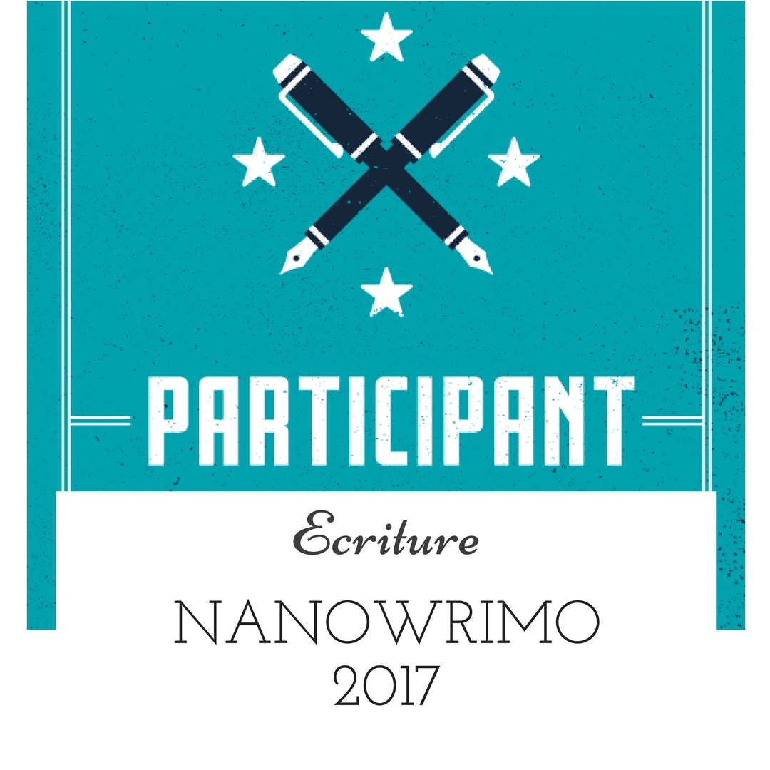 NaNoWriMo 2017